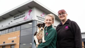 Vets for 2024 pets cheadle